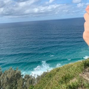 Meet your Posher, Nellie